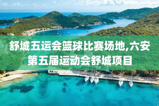 舒城五运会篮球比赛场地,六安第五届运动会舒城项目