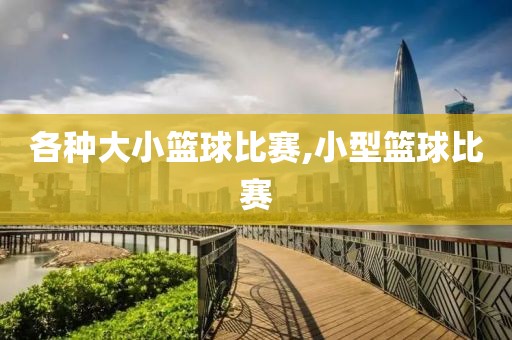 各种大小篮球比赛,小型篮球比赛