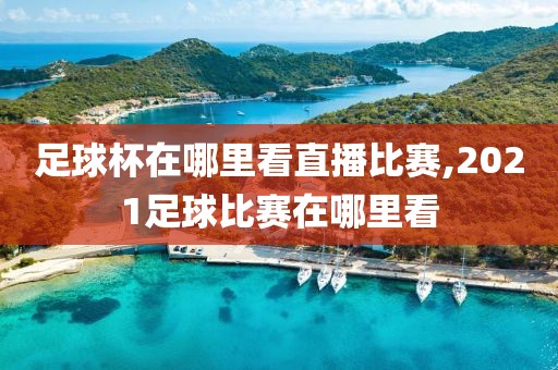 足球杯在哪里看直播比赛,2021足球比赛在哪里看