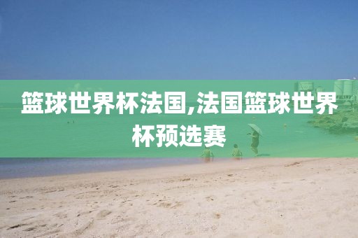 篮球世界杯法国,法国篮球世界杯预选赛
