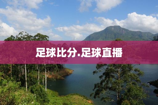 足球比分.足球直播