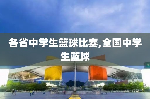 各省中学生篮球比赛,全国中学生篮球