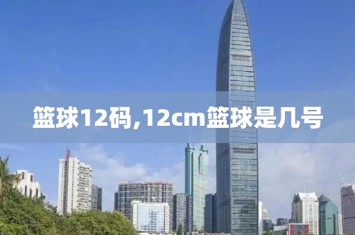 篮球12码,12cm篮球是几号