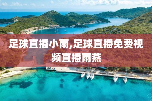 足球直播小雨,足球直播免费视频直播雨燕
