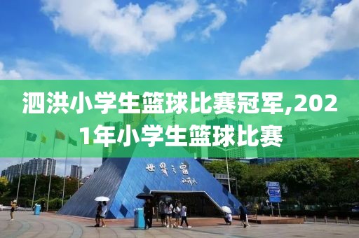 泗洪小学生篮球比赛冠军,2021年小学生篮球比赛