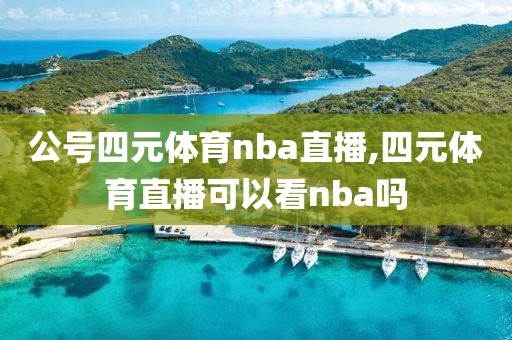 公号四元体育nba直播,四元体育直播可以看nba吗