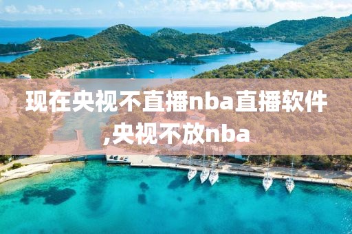 现在央视不直播nba直播软件,央视不放nba