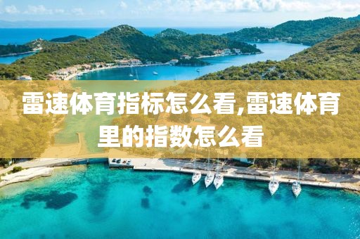 雷速体育指标怎么看,雷速体育里的指数怎么看