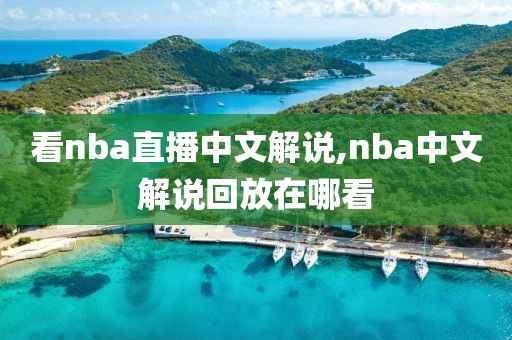 看nba直播中文解说,nba中文解说回放在哪看