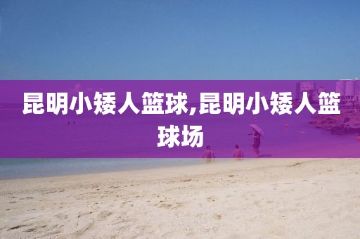 昆明小矮人篮球,昆明小矮人篮球场
