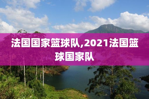 法国国家篮球队,2021法国篮球国家队