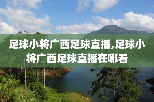 足球小将广西足球直播,足球小将广西足球直播在哪看