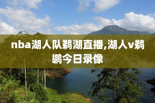 nba湖人队鹈湖直播,湖人v鹈鹕今日录像