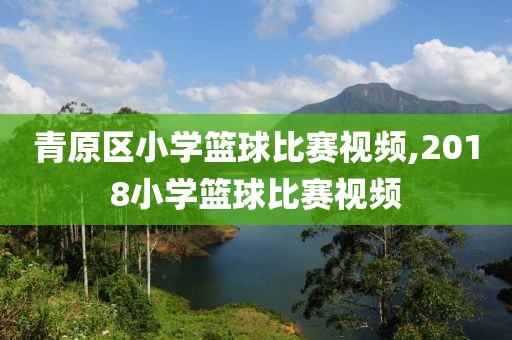 青原区小学篮球比赛视频,2018小学篮球比赛视频