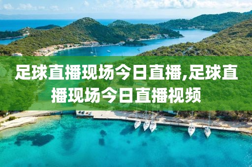 足球直播现场今日直播,足球直播现场今日直播视频