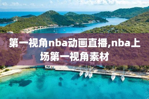 第一视角nba动画直播,nba上场第一视角素材