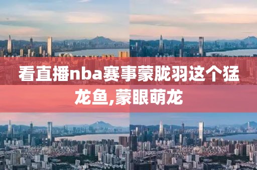 看直播nba赛事蒙胧羽这个猛龙鱼,蒙眼萌龙