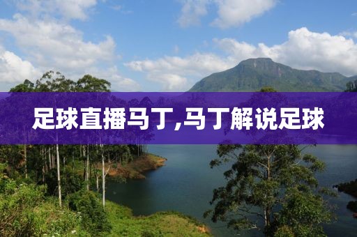 足球直播马丁,马丁解说足球