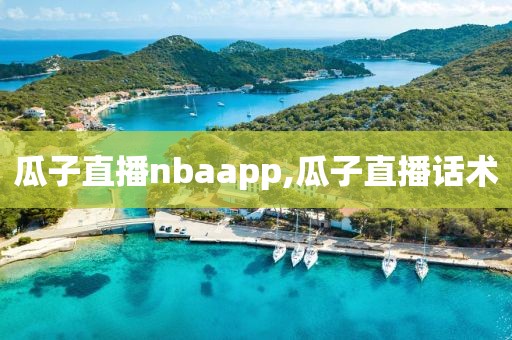 瓜子直播nbaapp,瓜子直播话术