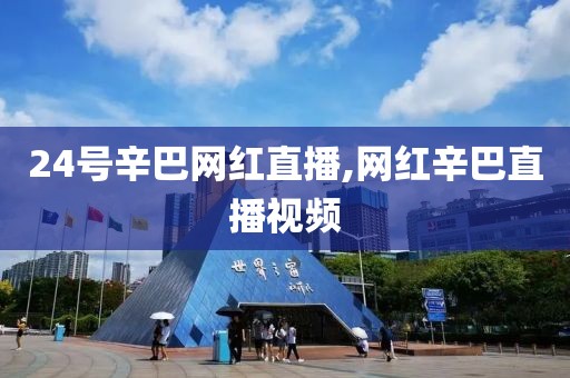 24号辛巴网红直播,网红辛巴直播视频