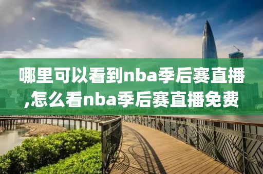哪里可以看到nba季后赛直播,怎么看nba季后赛直播免费
