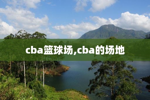 cba篮球场,cba的场地