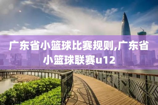 广东省小篮球比赛规则,广东省小篮球联赛u12
