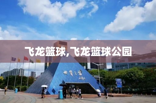 飞龙篮球,飞龙篮球公园