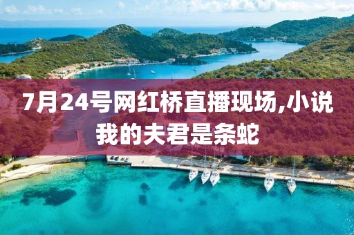 7月24号网红桥直播现场,小说我的夫君是条蛇