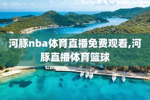 河豚nba体育直播免费观看,河豚直播体育篮球