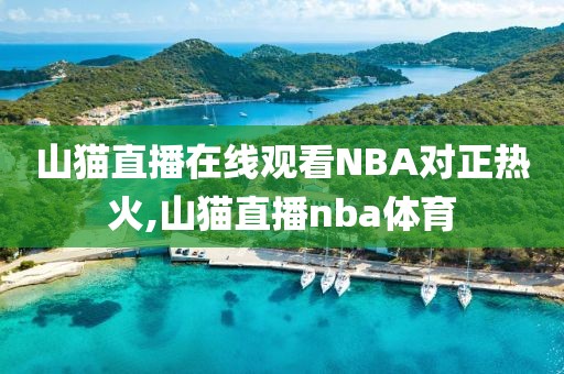 山猫直播在线观看NBA对正热火,山猫直播nba体育