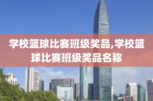 学校篮球比赛班级奖品,学校篮球比赛班级奖品名称