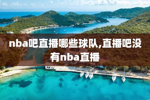 nba吧直播哪些球队,直播吧没有nba直播