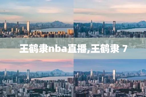 王鹤隶nba直播,王鹤隶 7