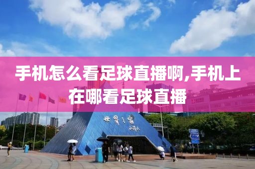 手机怎么看足球直播啊,手机上在哪看足球直播