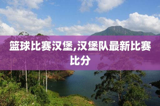 篮球比赛汉堡,汉堡队最新比赛比分