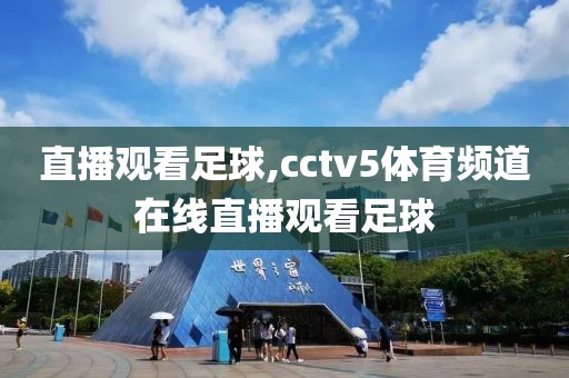 直播观看足球,cctv5体育频道在线直播观看足球