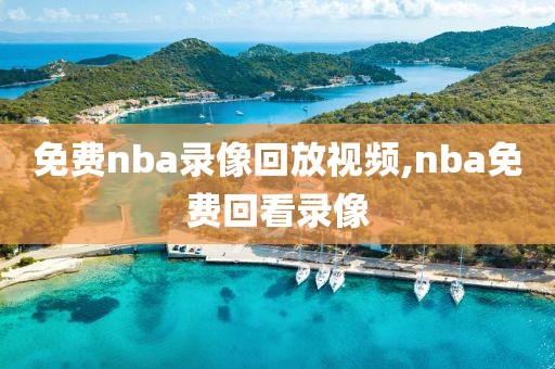 免费nba录像回放视频,nba免费回看录像