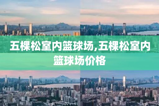 五棵松室内篮球场,五棵松室内篮球场价格