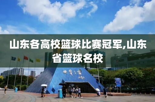 山东各高校篮球比赛冠军,山东省篮球名校