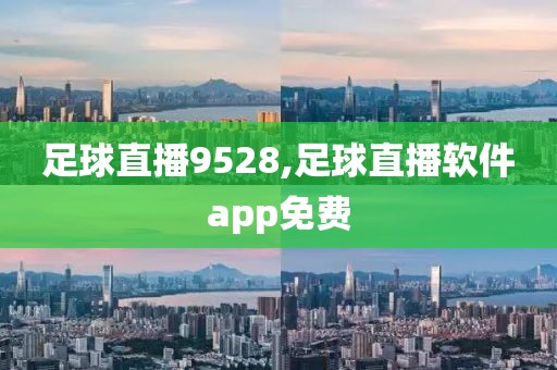 足球直播9528,足球直播软件app免费