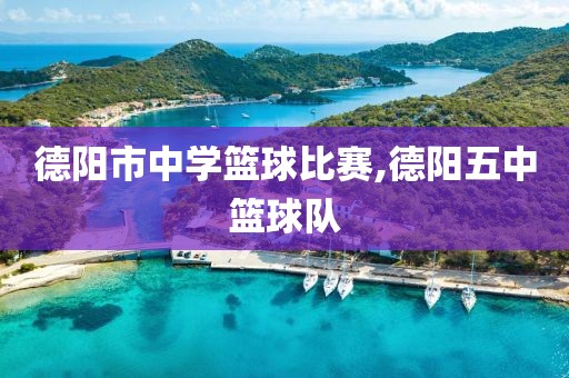 德阳市中学篮球比赛,德阳五中篮球队
