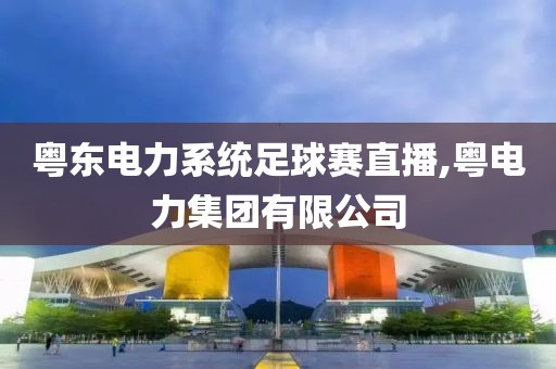 粤东电力系统足球赛直播,粤电力集团有限公司