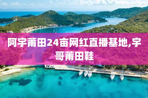 阿宇莆田24亩网红直播基地,宇哥莆田鞋