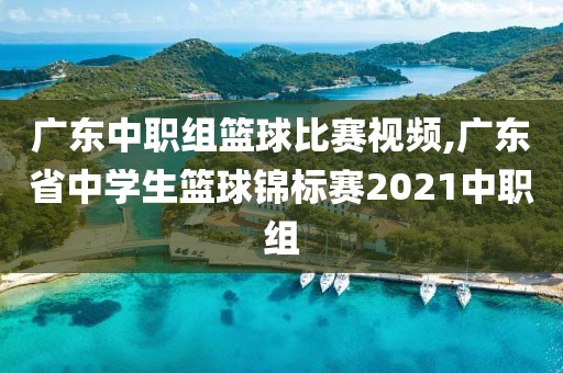 广东中职组篮球比赛视频,广东省中学生篮球锦标赛2021中职组
