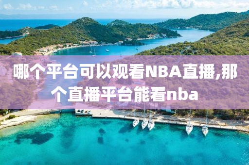 哪个平台可以观看NBA直播,那个直播平台能看nba