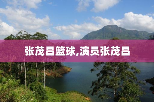 张茂昌篮球,演员张茂昌