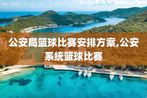 公安局篮球比赛安排方案,公安系统篮球比赛