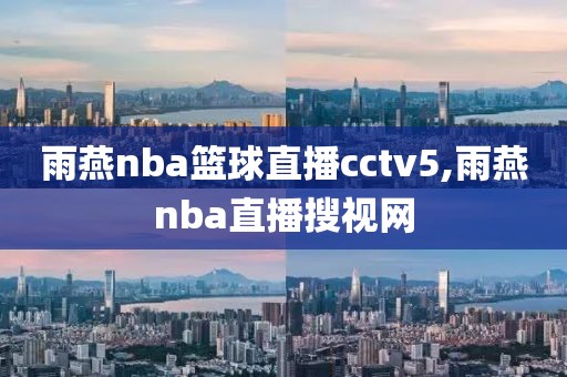 雨燕nba篮球直播cctv5,雨燕nba直播搜视网