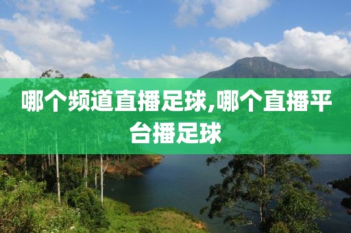 哪个频道直播足球,哪个直播平台播足球